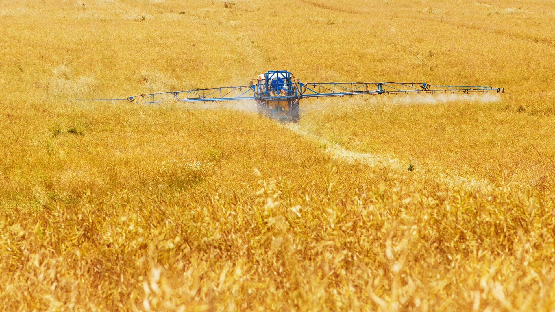 Zdjęcie poglądowe do artykułu: Kurs Chemizacyjny ( )