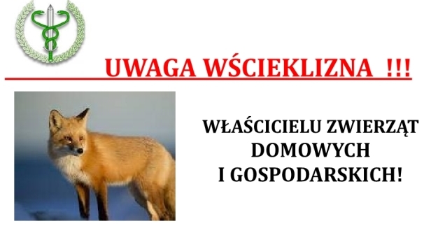 Zdjęcie poglądowe do artykułu: WŚCIEKLIZNA ( )