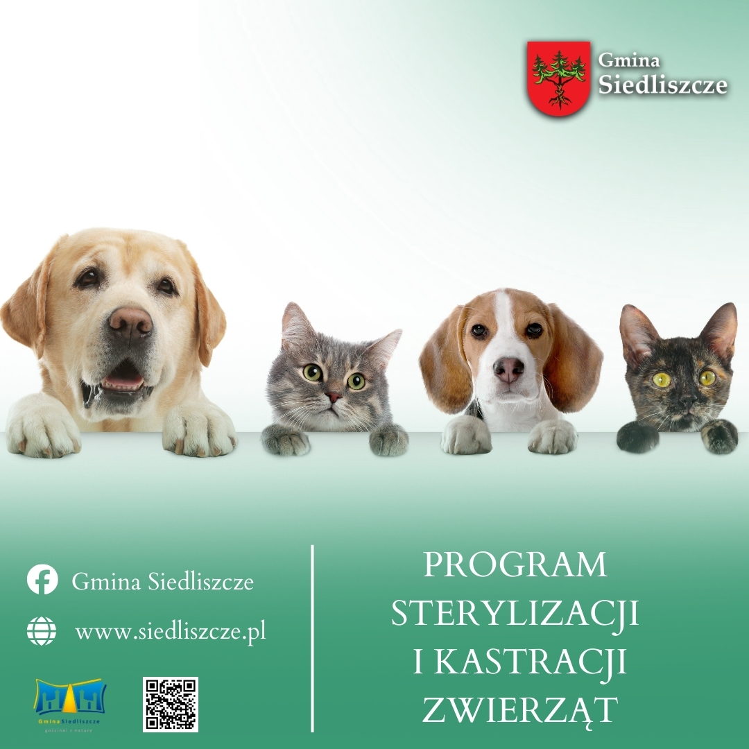 Zdjęcie poglądowe do artykułu: Dofinansowanie do kastracji i znakowania psów i kotów ( )